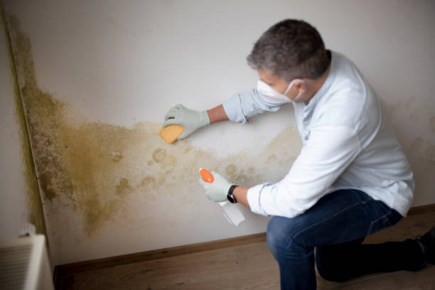Best Post-Construction Mold Inspection  in Caledonia, WI