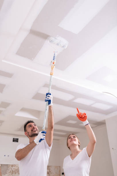 Best Environmental Consulting for Mold Prevention  in Caledonia, WI