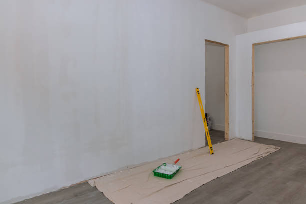 Professional Mold Removal in Caledonia, WI
