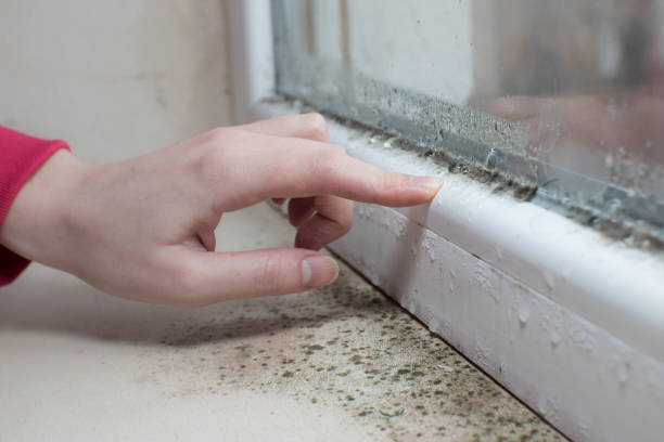 Best Air Quality Testing for Mold Spores  in Caledonia, WI