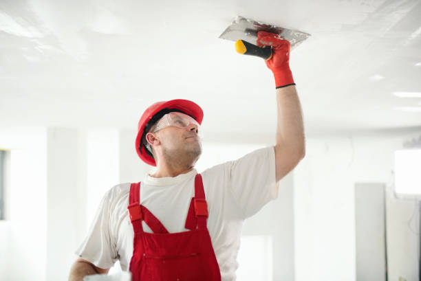 Best Industrial Mold Remediation  in Caledonia, WI
