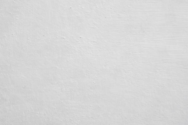 Best Mold Prevention Services  in Caledonia, WI